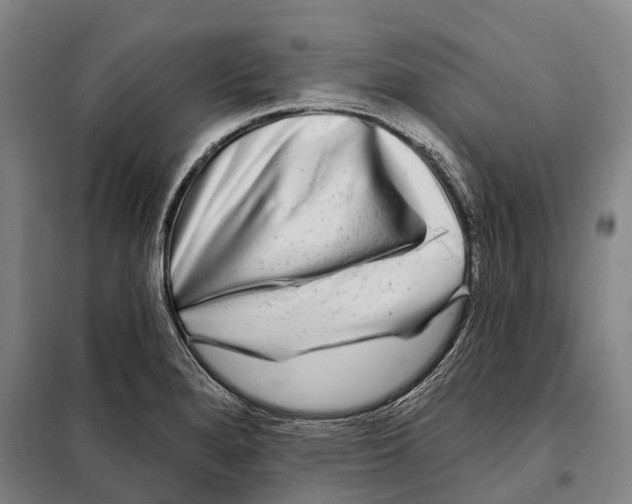 X0000097991280200804211054