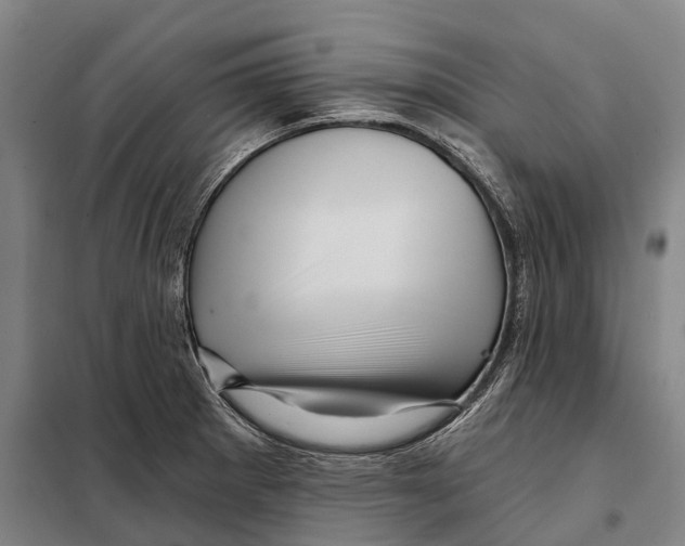 X0000097991281200804211054