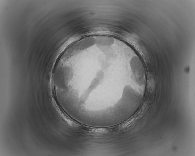 X0000097991282200804211054