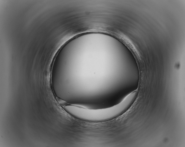 X0000097991284200804211054