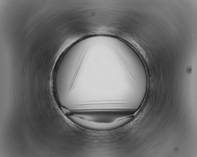 X0000097991285200804211054