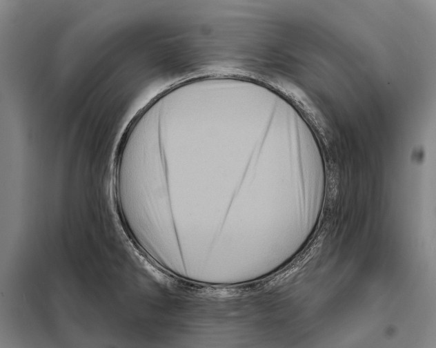 X0000097991286200804211054