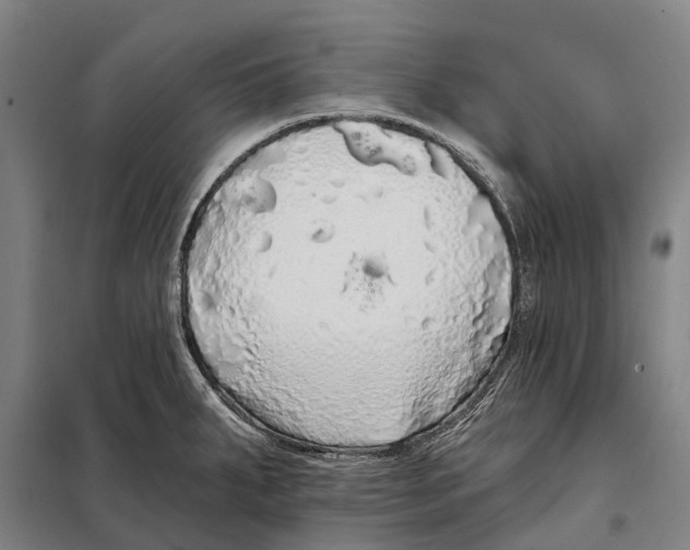 X0000097991287200804211054