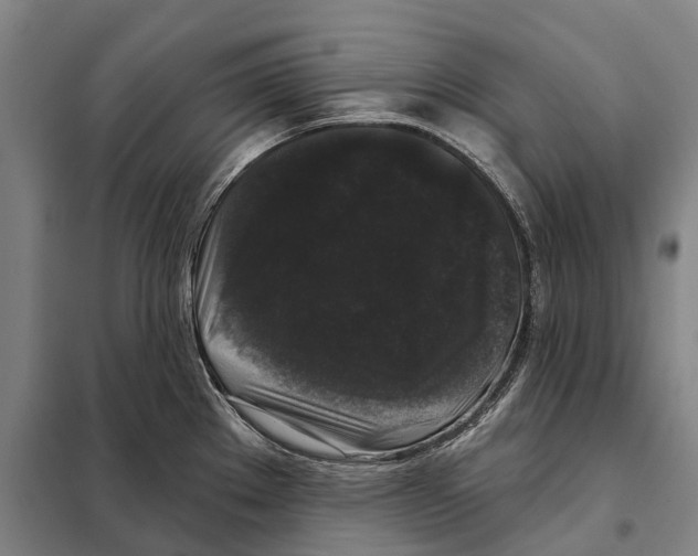 X0000097991289200804211054