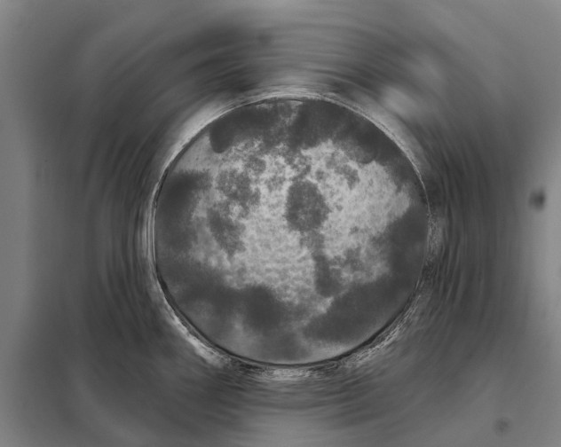 X0000097991290200804211054