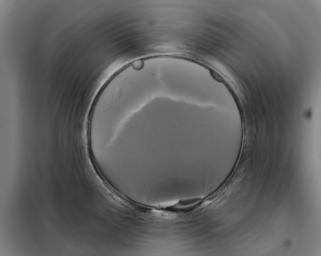 X0000097991291200804211054