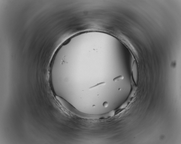 X0000097991292200804211054