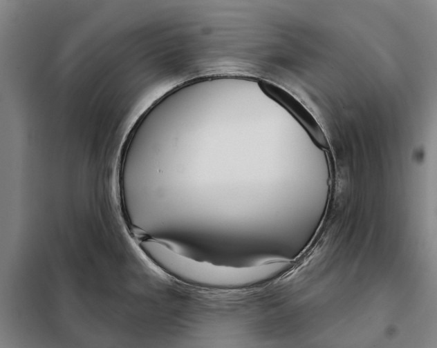 X0000097991293200804211054