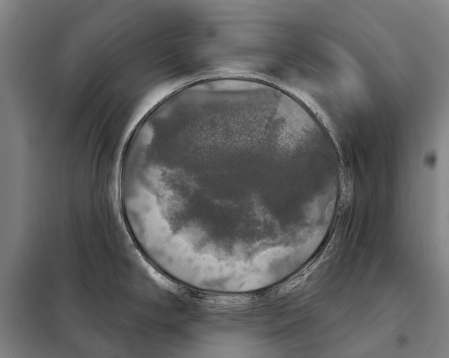 X0000097991294200804211054