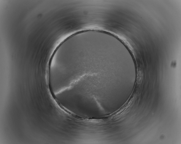 X0000097991295200804211054