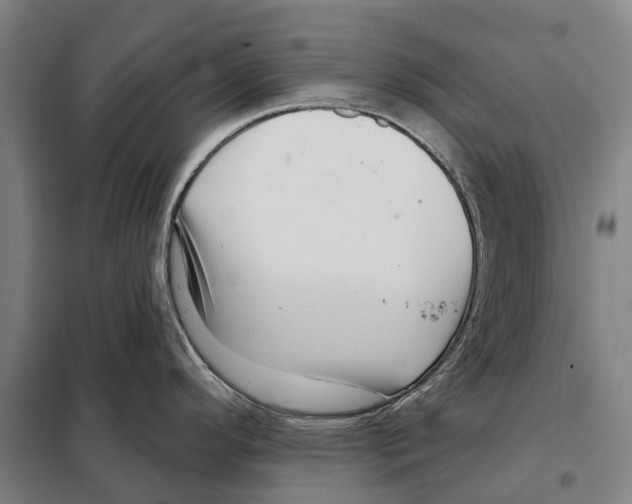 X0000097991296200804211054