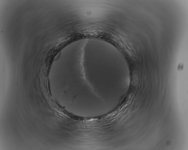 X0000097991297200804211053