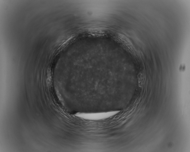 X0000097991298200804211053