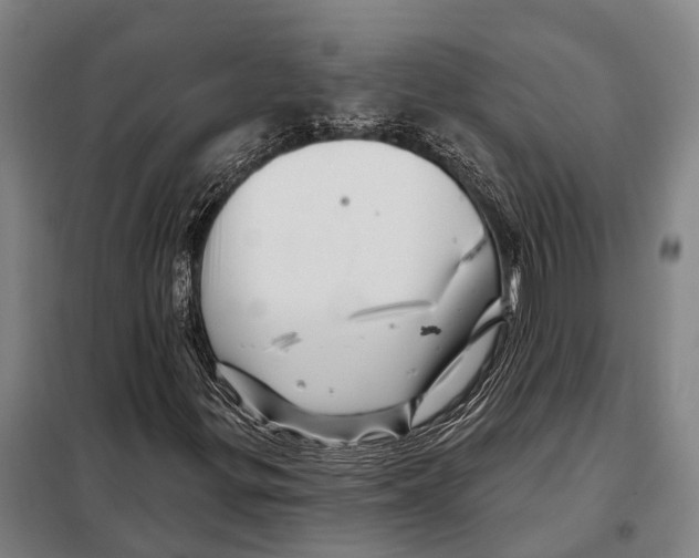 X0000097991299200804211053