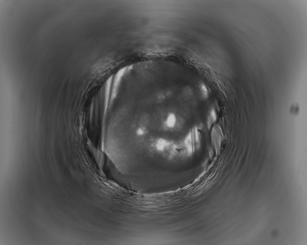 X0000097991300200804211053