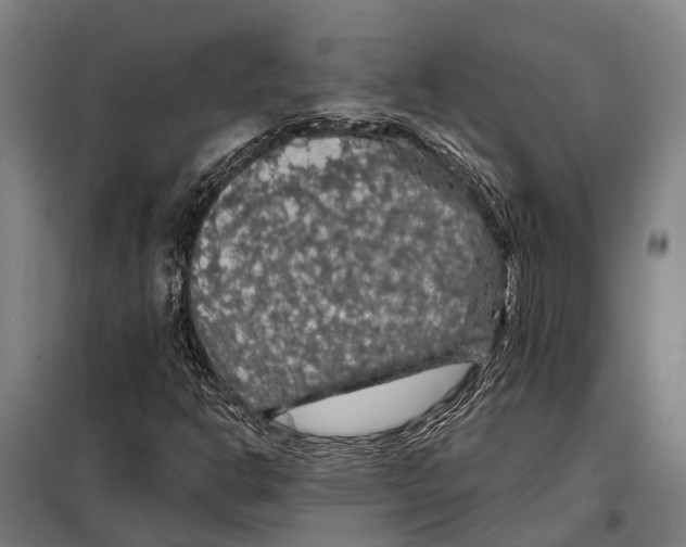 X0000097991302200804211053