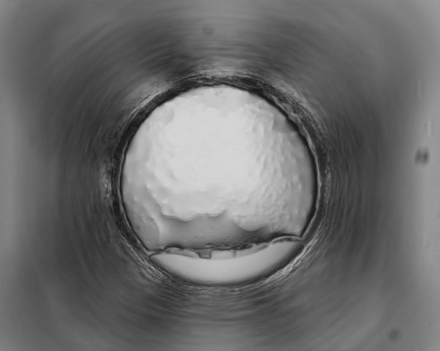 X0000097991305200804211053