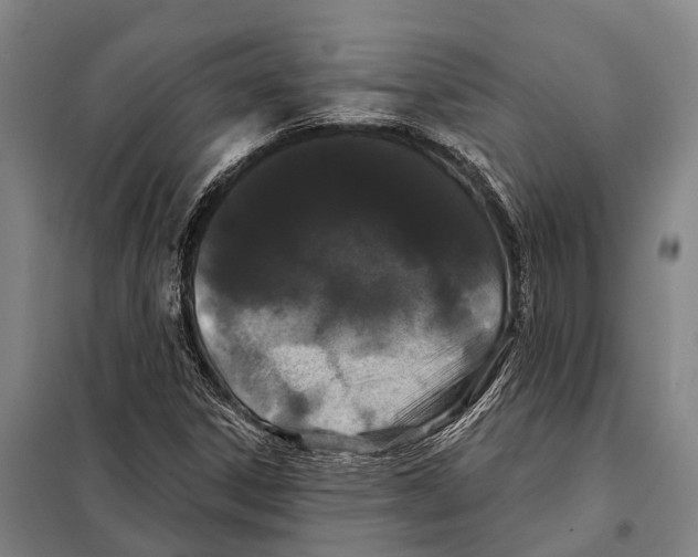 X0000097991306200804211053