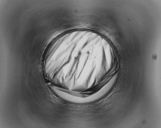 X0000097991308200804211053