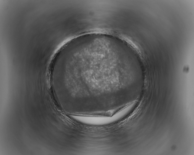 X0000097991310200804211053