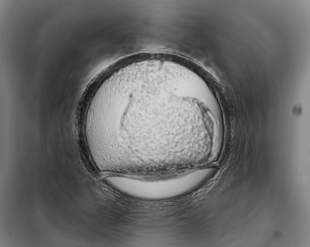 X0000097991311200804211053