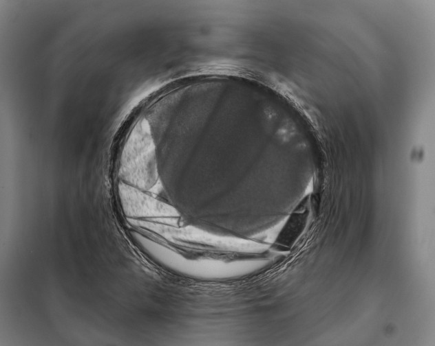 X0000097991312200804211053