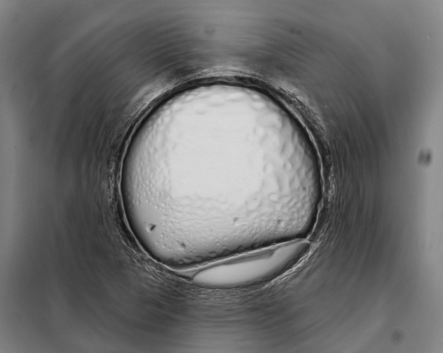 X0000097991313200804211053