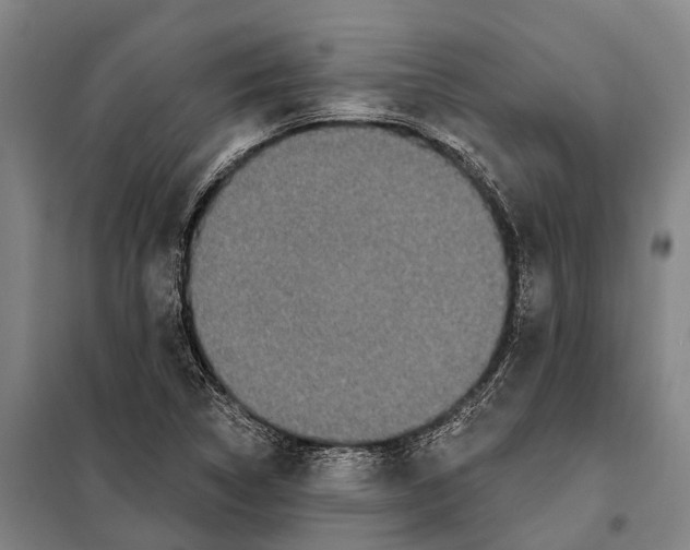 X0000097991314200804211053