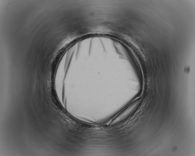 X0000097991315200804211053