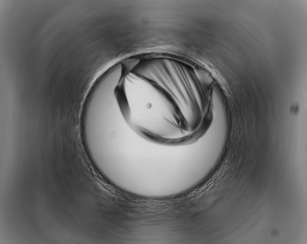 X0000097991316200804211053