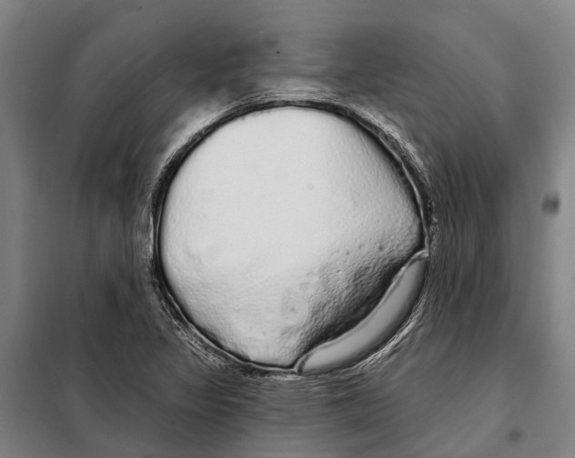 X0000097991317200804211053