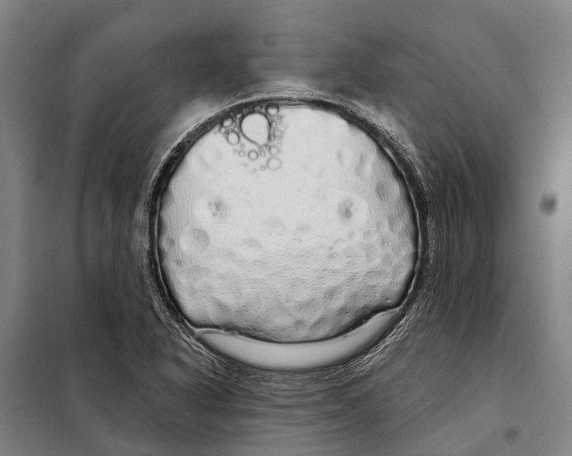 X0000097991318200804211053