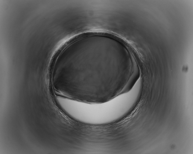 X0000097991319200804211053