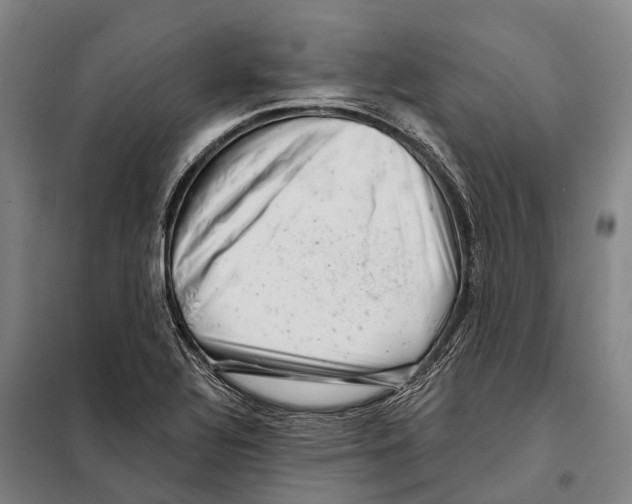 X0000097991320200804211053