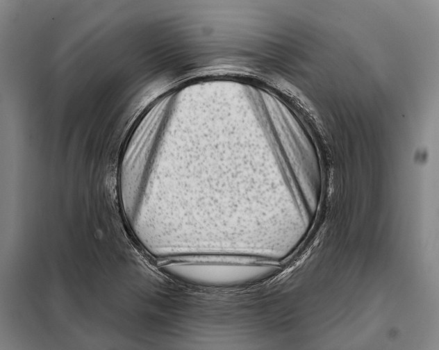 X0000097991321200804211053