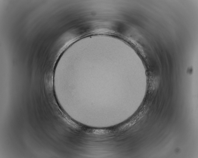 X0000097991322200804211053