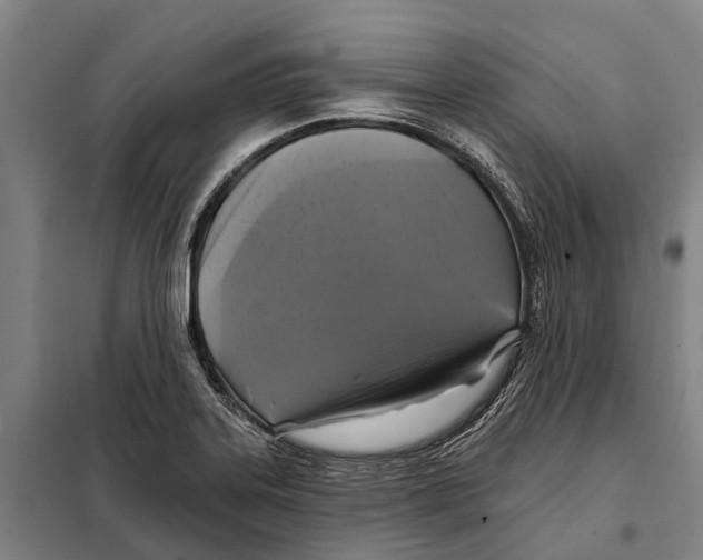 X0000097991323200804211053