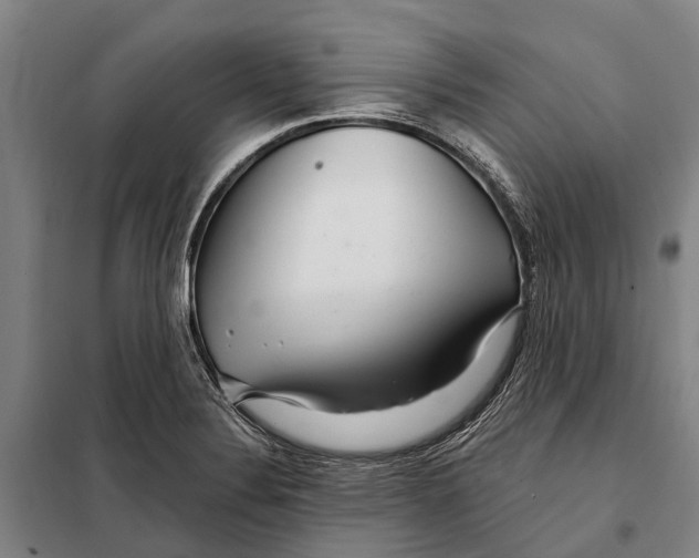 X0000097991324200804211053