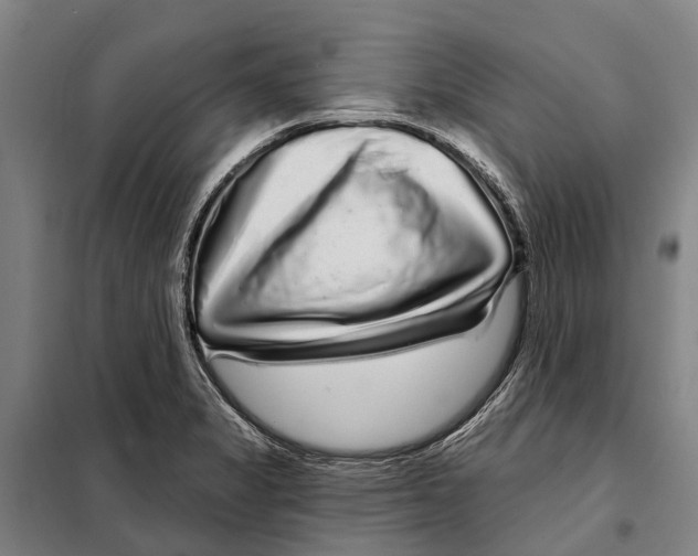 X0000097991325200804211053