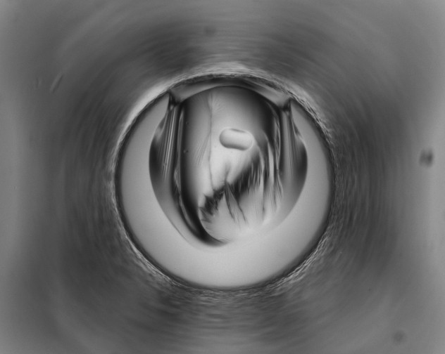 X0000097991326200804211053