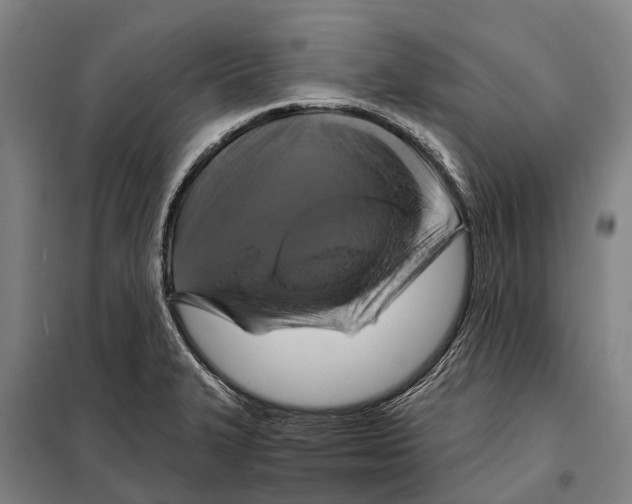 X0000097991327200804211053