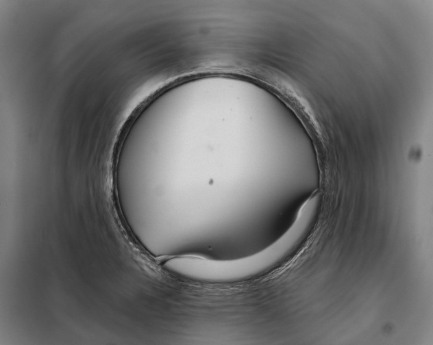 X0000097991328200804211053