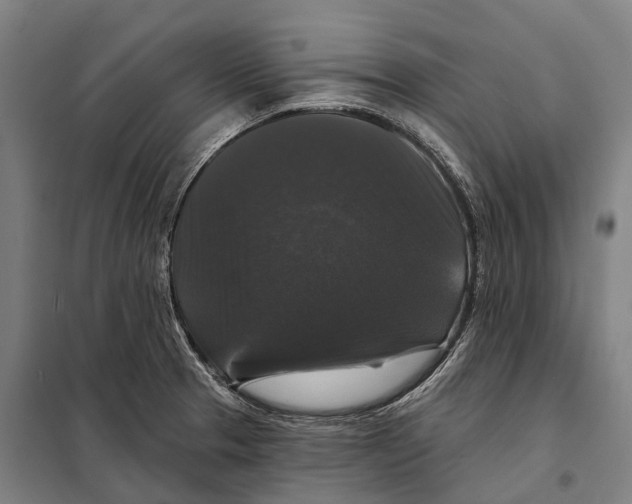 X0000097991329200804211053