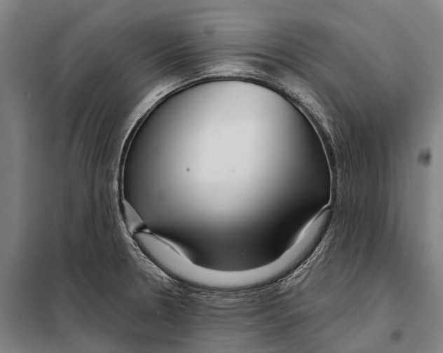 X0000097991330200804211053