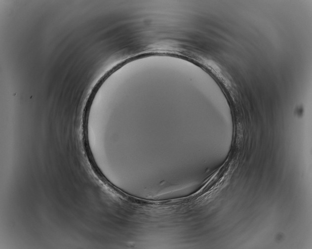 X0000097991331200804211053