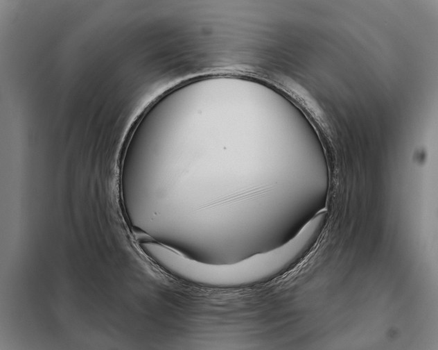 X0000097991332200804211053