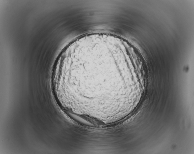 X0000097991333200804211053