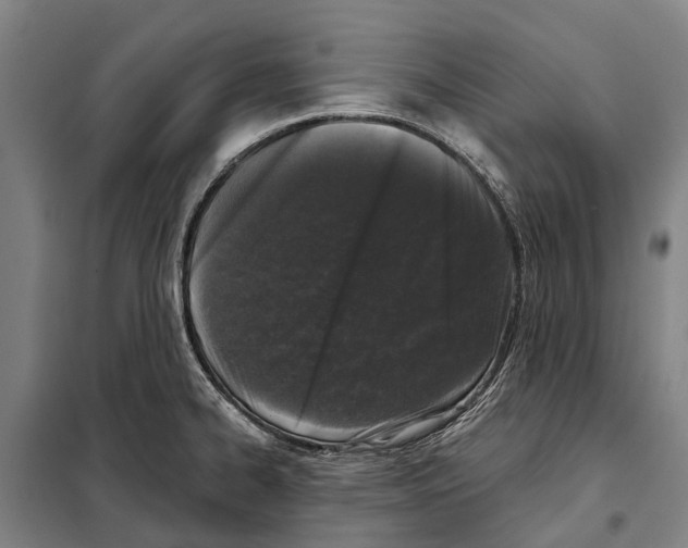 X0000097991334200804211054