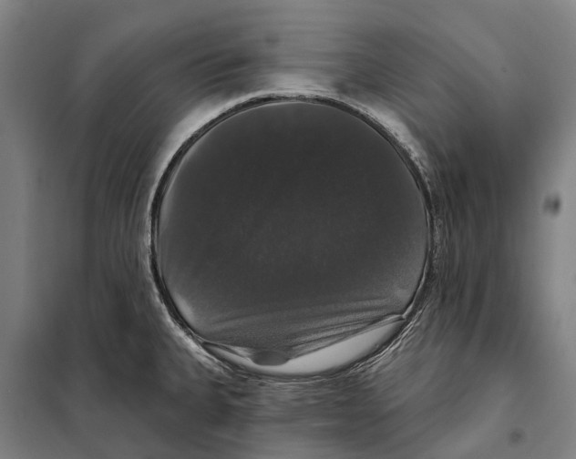 X0000097991335200804211054