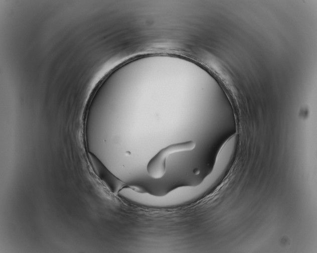 X0000097991336200804211054